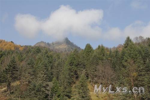 雅安东拉山大峡谷/神木垒二日游