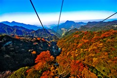 重庆印象、山城故事二日游