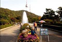 【春田花花】新韩国浪漫五日游 体验韩国人「花见」的乐趣