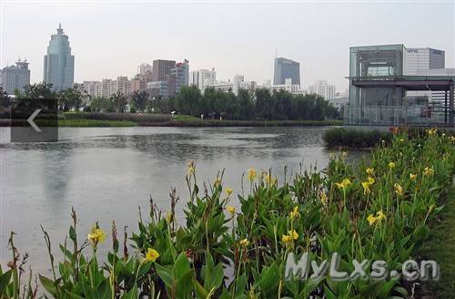 奥林匹克公园.jpg