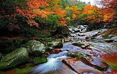 汉中古汉台、巴中光雾山大坝景区三日游