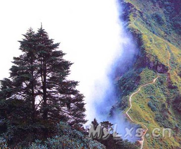 西岭雪山