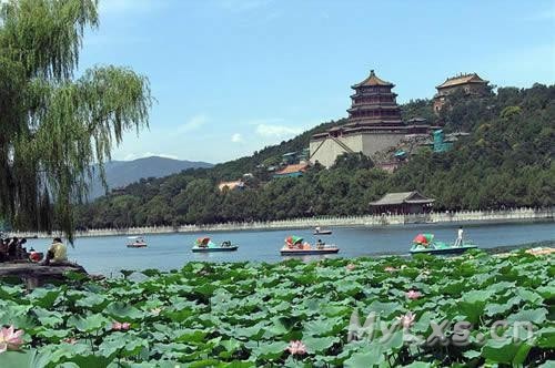 图片15.jpg