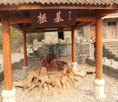 图片1.png