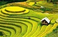 阳光米易-孟获城、米易新山梯田、太阳谷九十九里温泉 4 日游